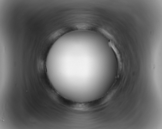 X0000086250117200704121959