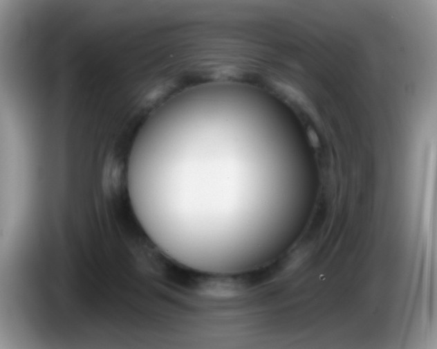 X0000086250123200704121959