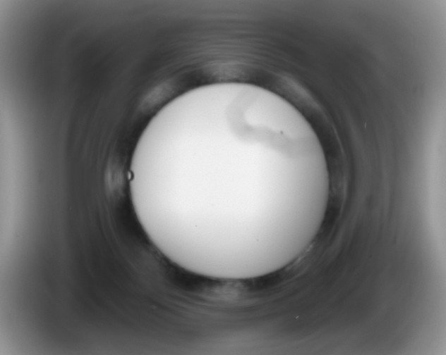 X0000086250124200704121959