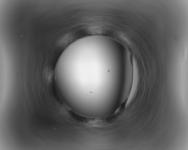 X0000086250125200704121959