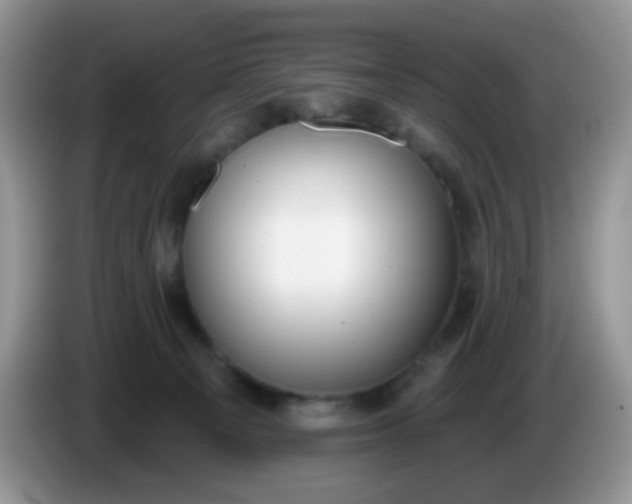 X0000086250129200704121959