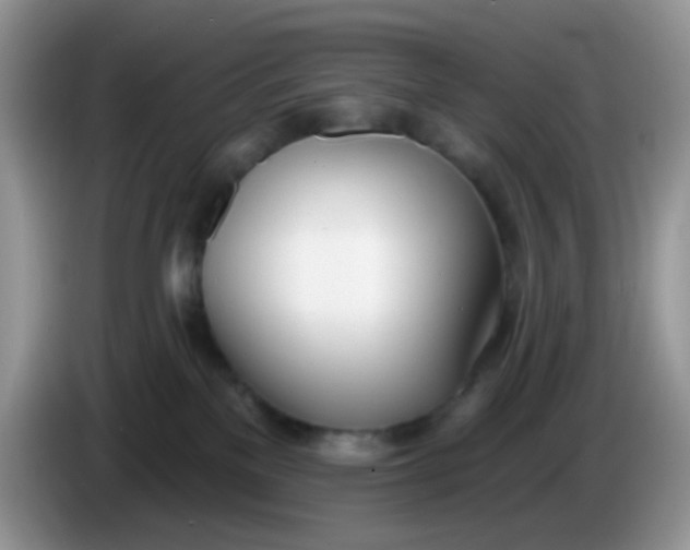 X0000086250137200704121959