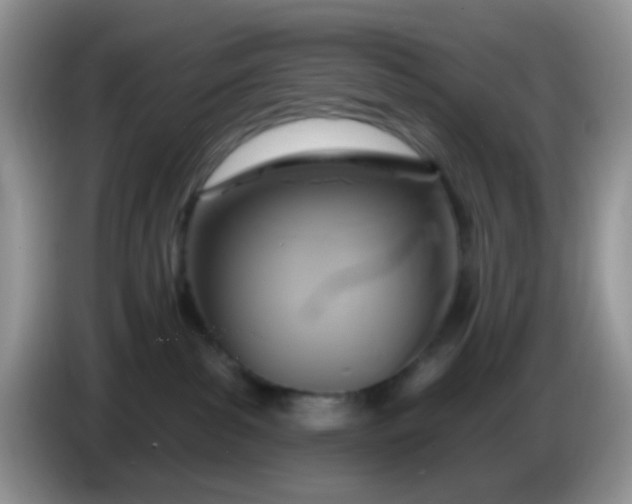 X0000086250139200704121959