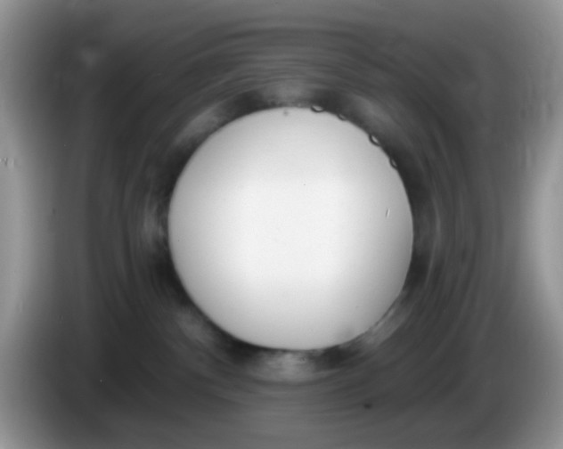 X0000086250140200704121959