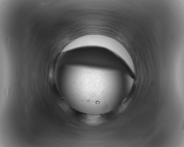 X0000086250143200704121959