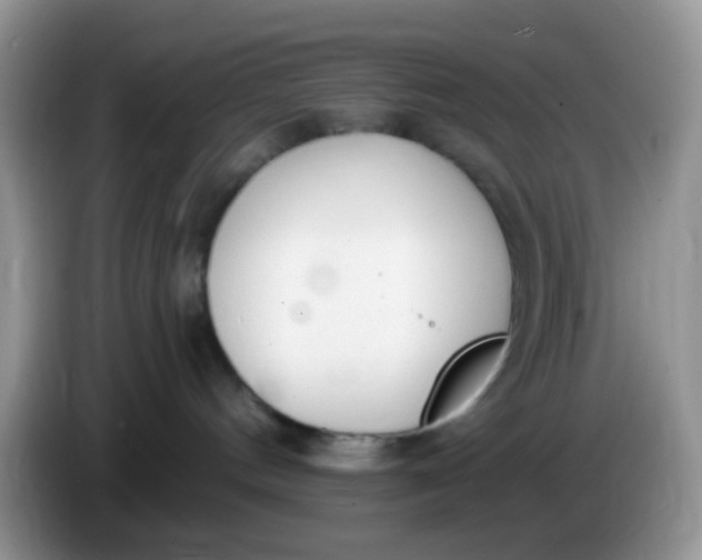 X0000086250144200704121959