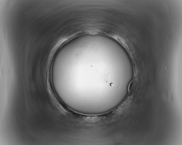 X0000086250145200704121958