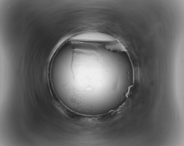 X0000086250147200704121958