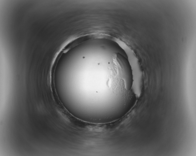 X0000086250148200704121958