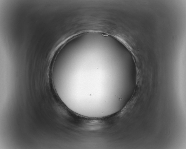 X0000086250151200704121958