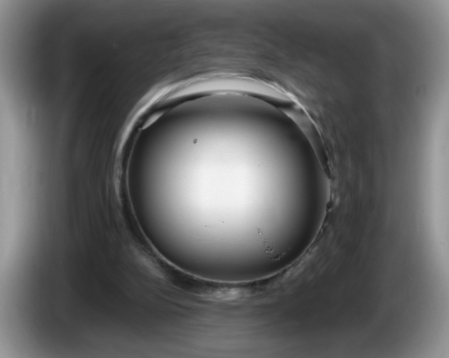 X0000086250152200704121958