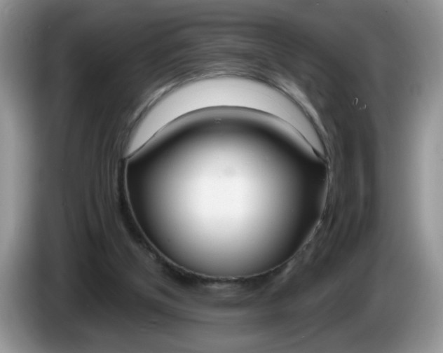 X0000086250154200704121958