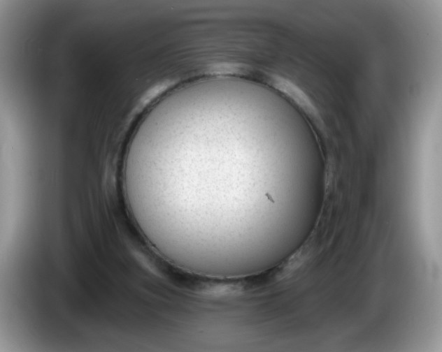 X0000086250155200704121958