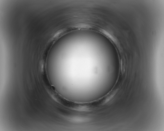 X0000086250157200704121958