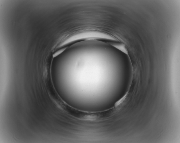 X0000086250158200704121958
