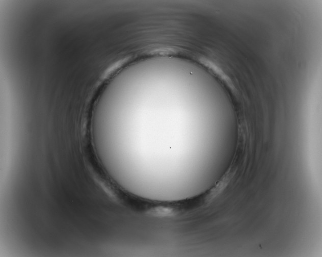 X0000086250159200704121958