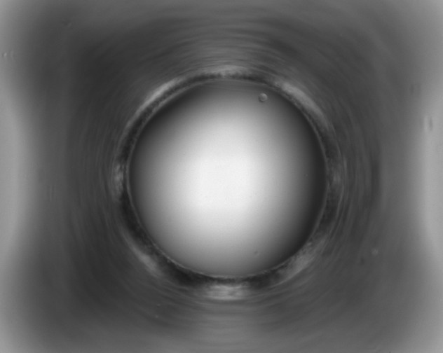 X0000086250160200704121958