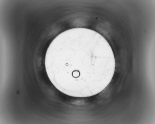 X0000086250162200704121958