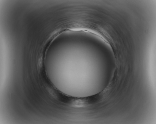 X0000086250163200704121958