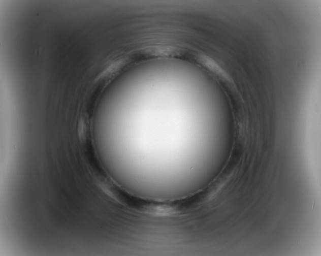 X0000086250165200704121958