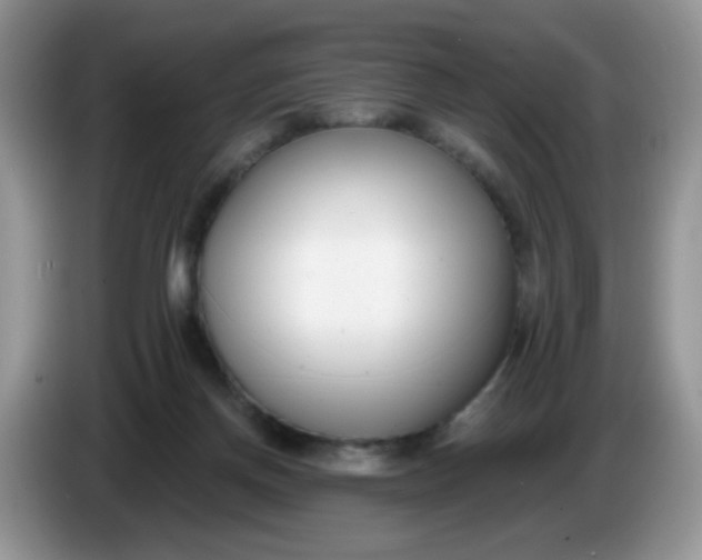 X0000086250166200704121958