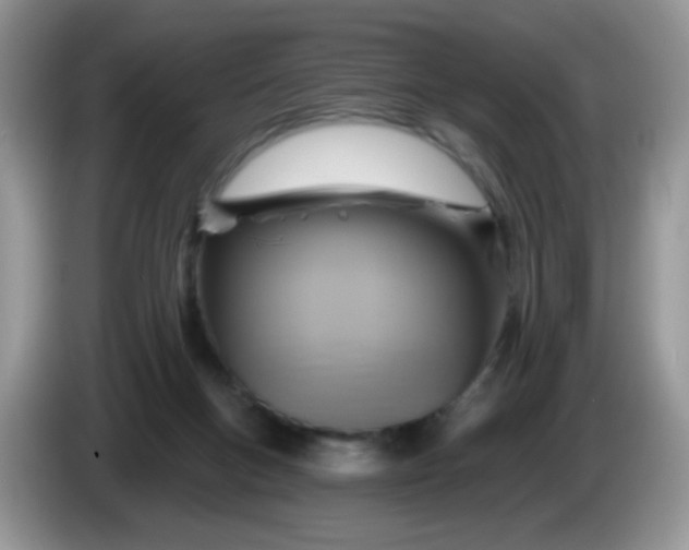 X0000086250167200704121958