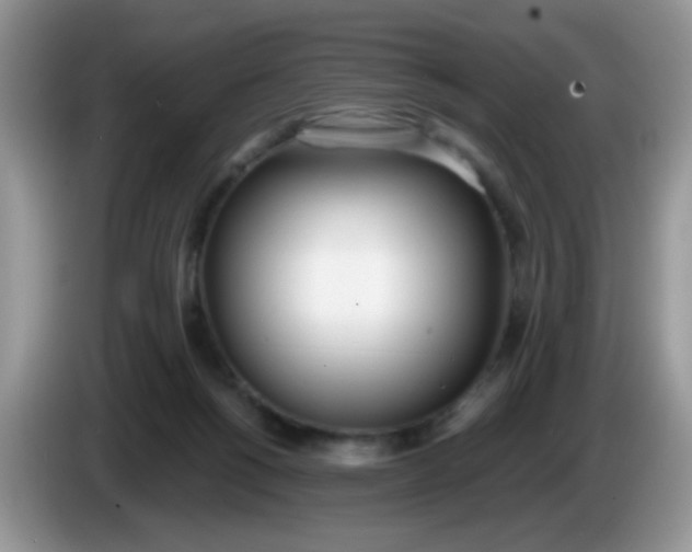 X0000086250168200704121958