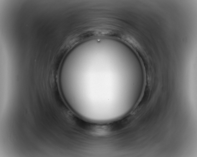 X0000086250169200704121958
