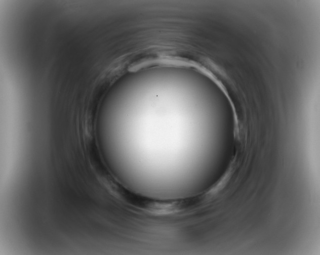 X0000086250170200704121958