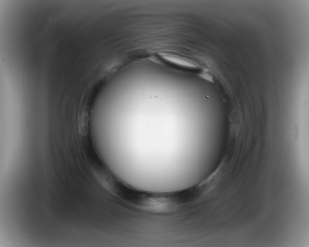 X0000086250171200704121958