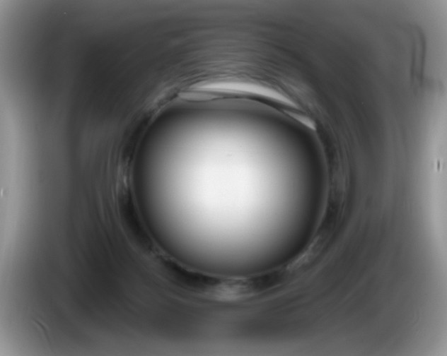 X0000086250172200704121958