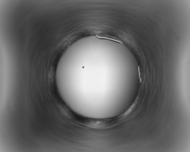 X0000086250174200704121958