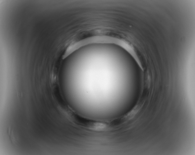 X0000086250176200704121958