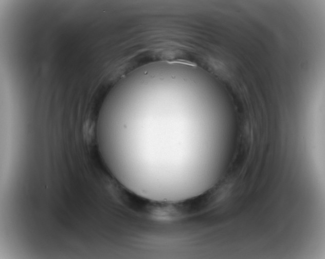 X0000086250177200704121958