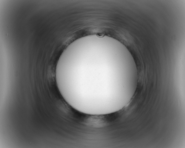 X0000086250179200704121958