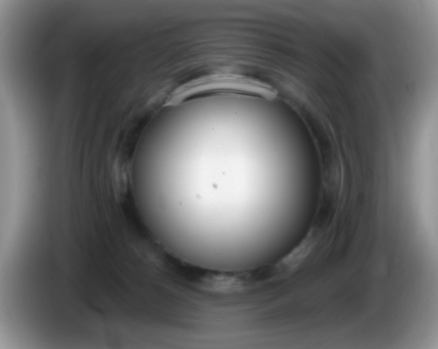 X0000086250180200704121958