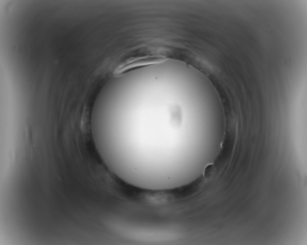X0000086250181200704121958