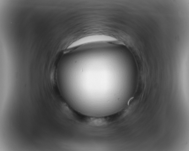 X0000086250185200704121958