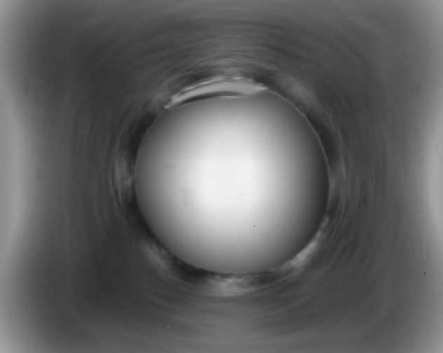 X0000086250186200704121958