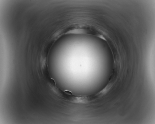 X0000086250188200704121959