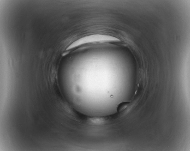 X0000086250189200704121959