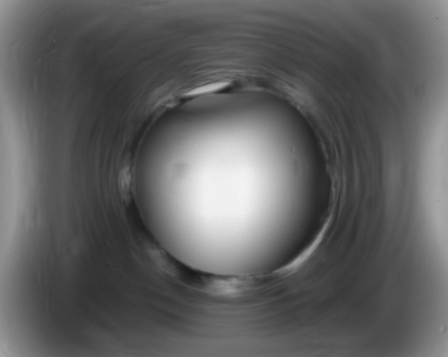 X0000086250190200704121959
