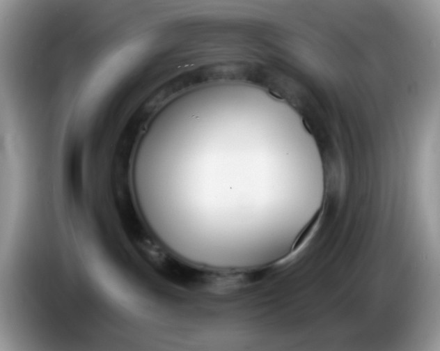 X0000086250191200704121959