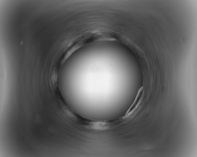 X0000086250192200704121959