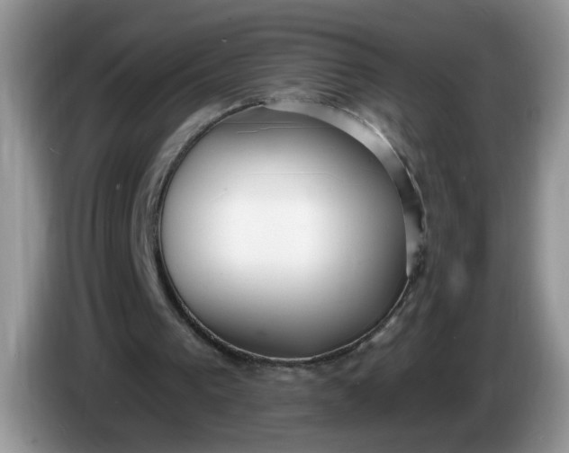 X0000086250193200704121958