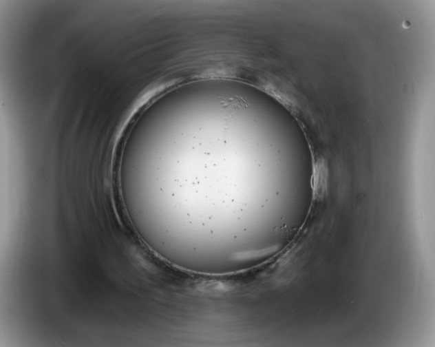 X0000086250195200704121958