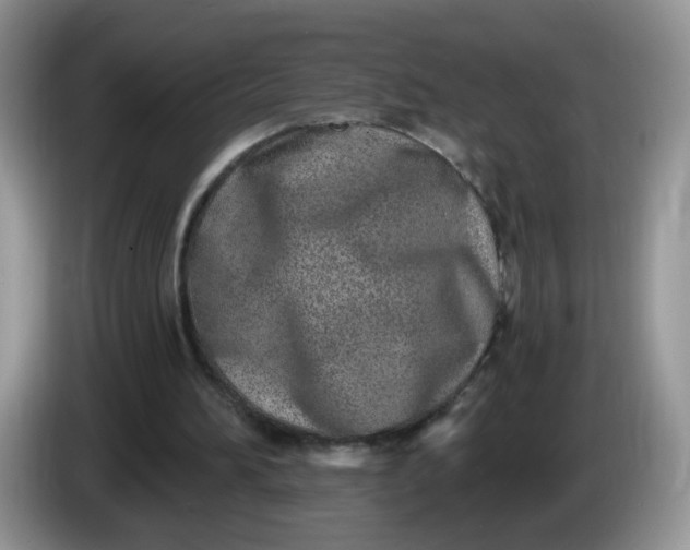 X0000086250196200704121958