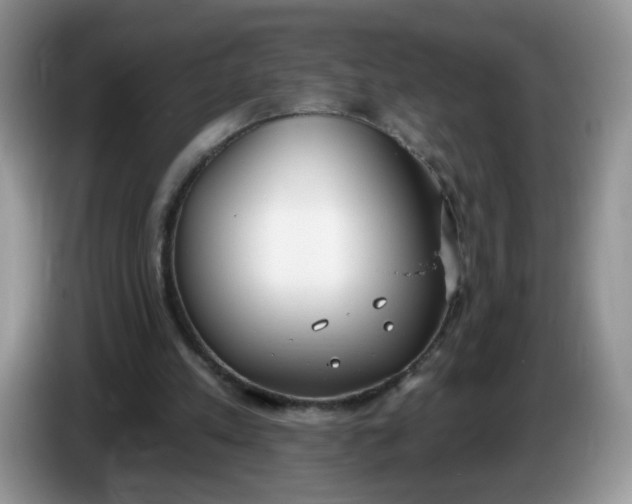 X0000086250197200704121958