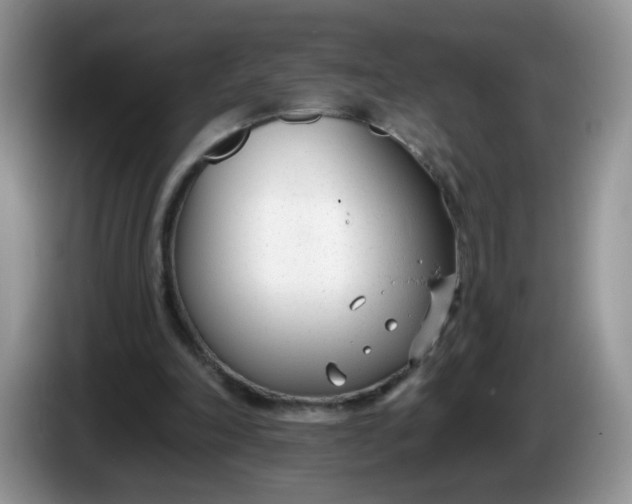 X0000086250198200704121958
