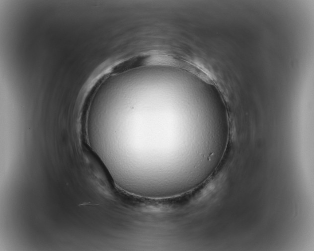 X0000086250199200704121958